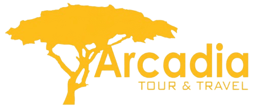 Arcadia Tour & Travel